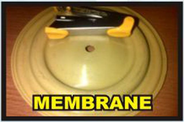 Membrane
